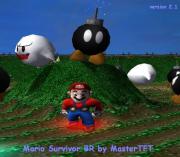 Mario Survivor 2.1