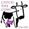 Catch The Cow TAG!