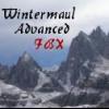 Wintermaul Advanced FBX