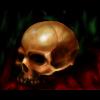Diablo's Tomb RPG 4.9g