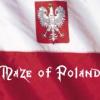 Maze of Poland